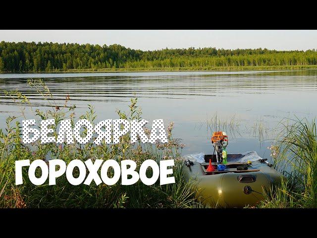 БЕЛОЯРКА |ЛЕЩ |ГОРОХОВОЕ