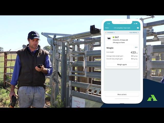 Live Session | AgriWebb In Action