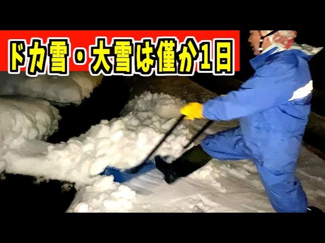 【早朝除雪】2024-12-25 もう終わった〜！ドカ雪・大雪だったのかな？！パパさんダンプ　snow removal