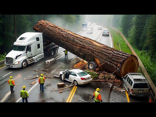 Dangerous Idiots Truck & Heavy Equipment Fails Compilation | Extreme Truck Idiots at Work #24