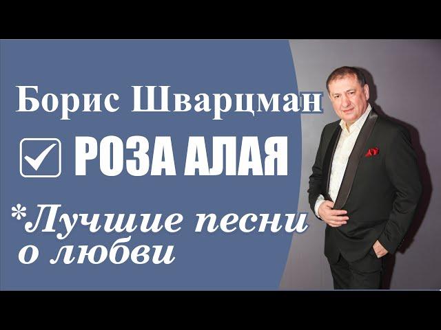 Борис Шварцман ► Роза алая моя  | Красиво о любви