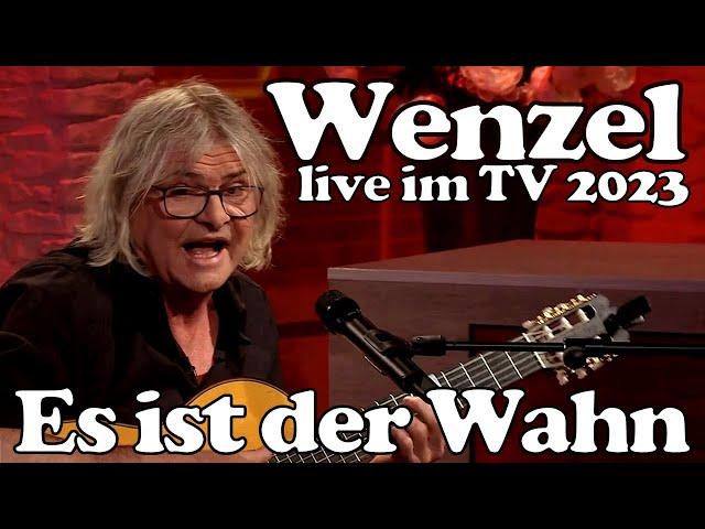 Wenzel - Es ist der Wahn (solo unplugged TV-Auftritt 2023)