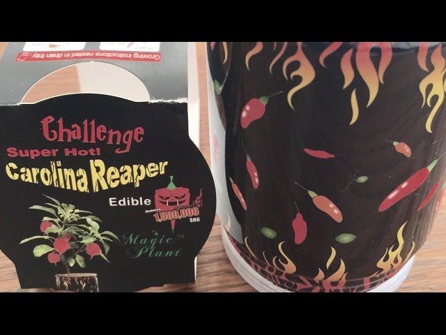 CAROLINA REAPER MAGIC PLANT GROW KIT CAN WORLD HOTTEST PEPPER