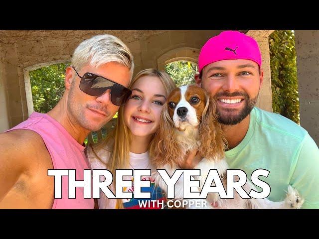 3 YEARS WITH OUR CAVALIER KING CHARLES! LIFE VLOG | Grilling, Cake Pop Recipe, New Stanley, & More!