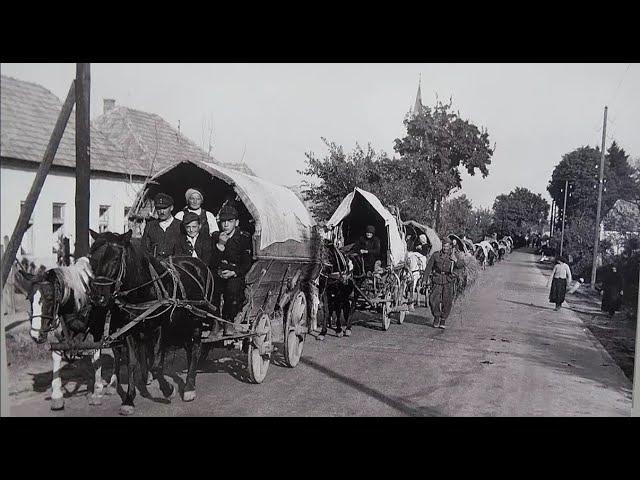 Vertrieben 1944 aus Siebenbürgen - Flucht + neue Heimat Weinviertel (NÖ) - erzählt von Hr. Göttfert