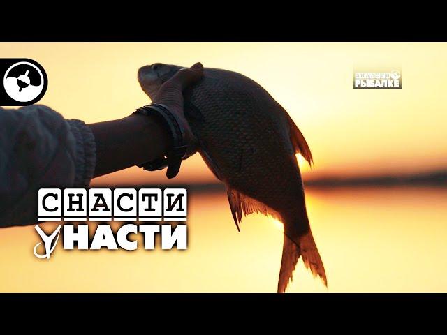 Карась и лещ на фидер | Снасти у Насти