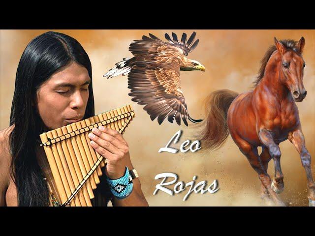  Leo Rojas  Best Hits of All Time   Leo Rojas 