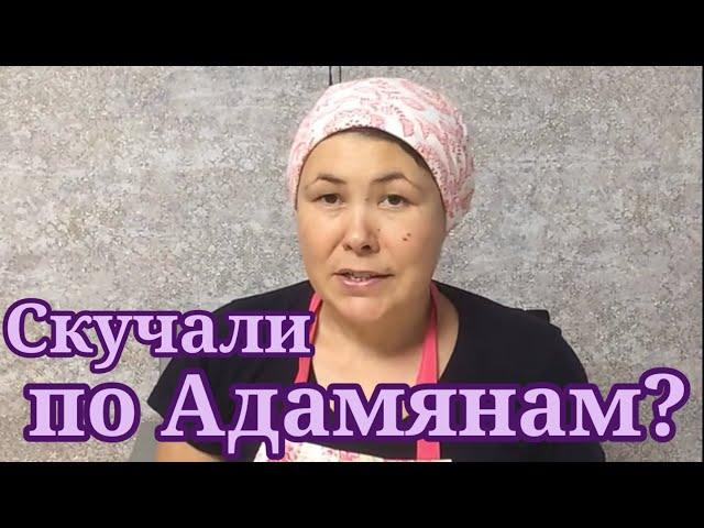 Скучали по Адамянам? Обзор Семья Адамян