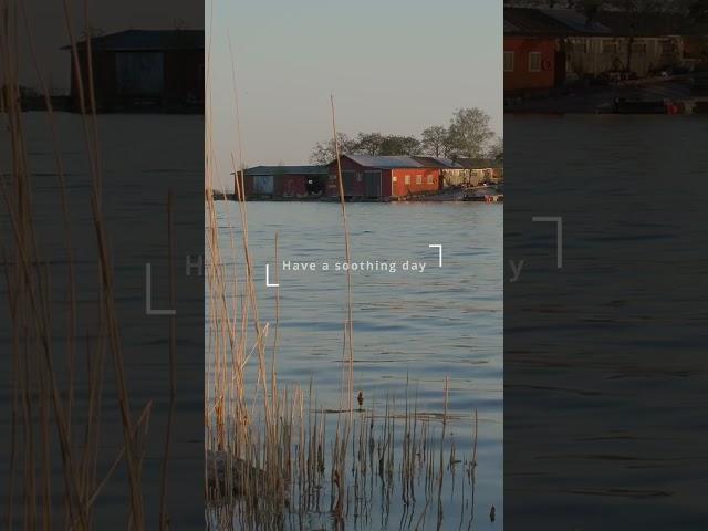 Welcome to Soothing Relaxation  Have a Soothing Day! 
