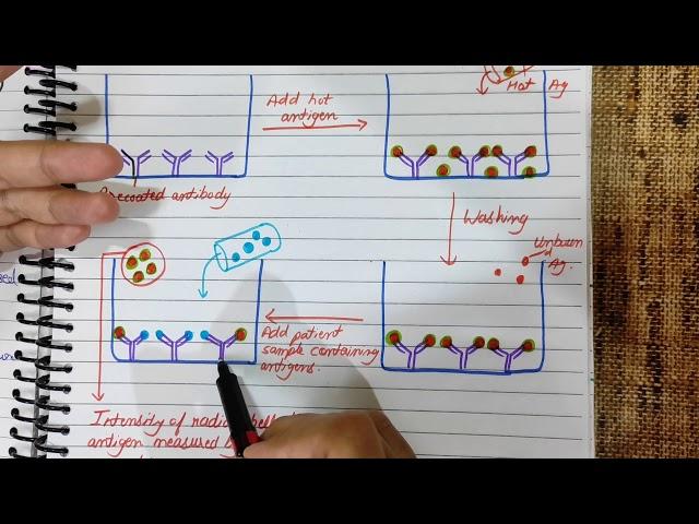 Radioimmunoassay Explained | RIA | Principle | Diagram | Flowchart #medicology