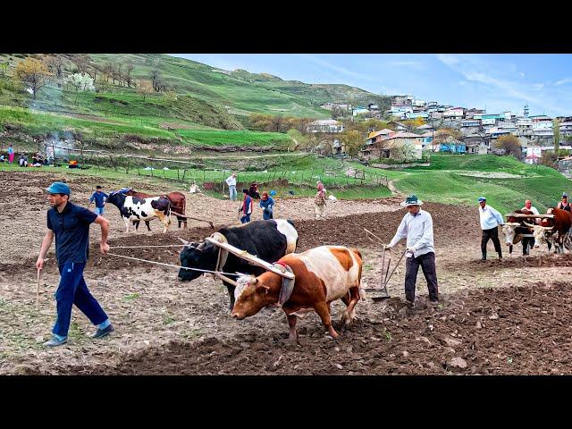 How People Live in Remote Mountain Villages of Dagestan — Where Almost No One Ever Goes