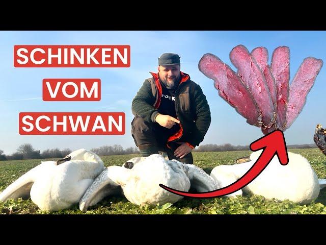 VOM SCHWAN ZUM SCHINKEN --- Klaus grillt