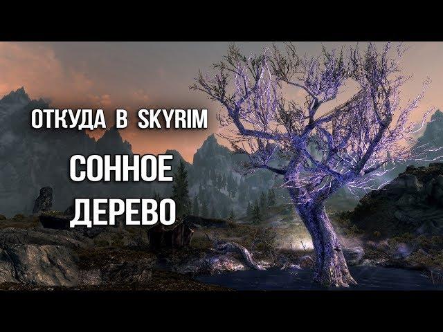 Skyrim: SECRET sleepy trees and unique elixir - ENT TES