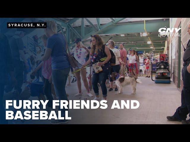 Bark in the Park returns to NBT Bank Stadium