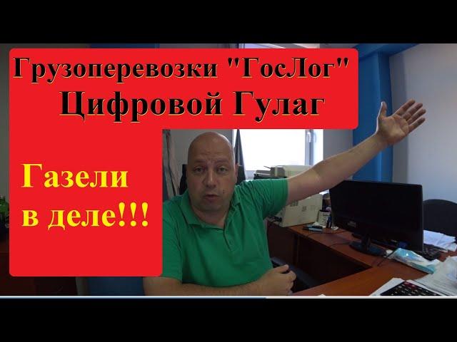 Грузоперевозки - Реестр перевозчиков - Добро пожаловать в Гулаг!!! ГАЗЕЛИ в Деле!!!