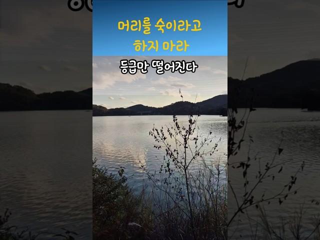 정약용명언 등급만 떨어진다 #명언 #좋은글 #지혜 #인생조언 #삶의지혜