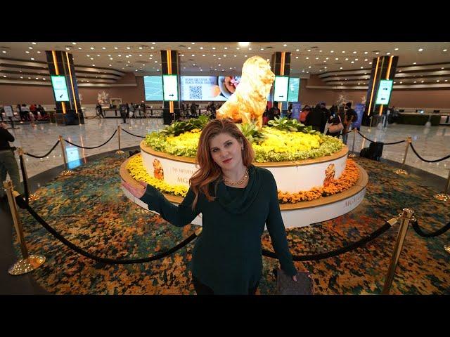 I Stayed in the Cheapest Room at MGM Grand in Las Vegas! 