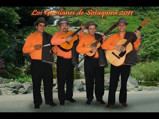 LOS GAVILANES DE SOTAQUIRA )( LA JARDINERITA )(@juancarlosmendivelso345