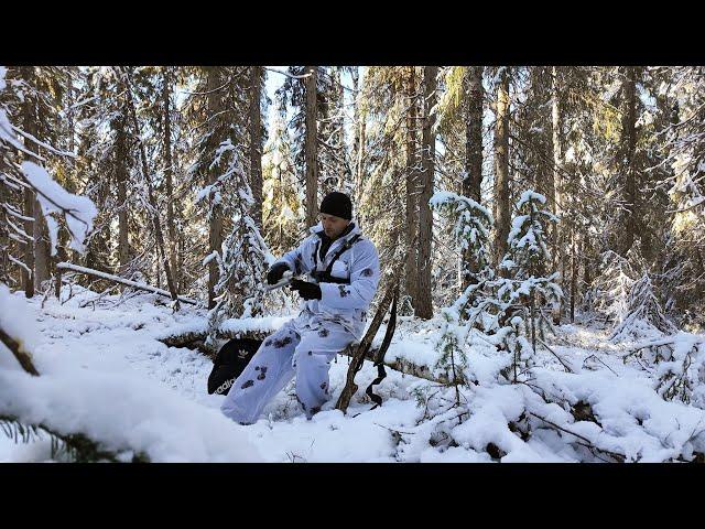 В тайгу с Устаичем. Профукал буржуйский обед! А шанс был... Зима пришла нежданно.