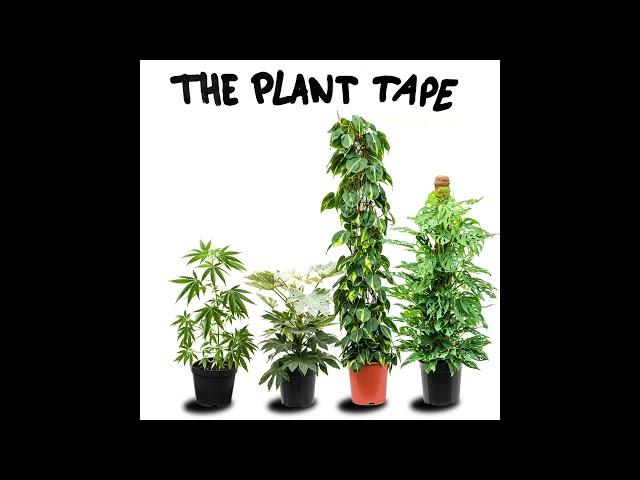 GOALS (THE PLANT TAPE) PROD. RU