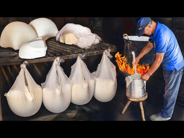 Artisan Cheese Making on Remote Sheep Farm! Hardworking Rural Family