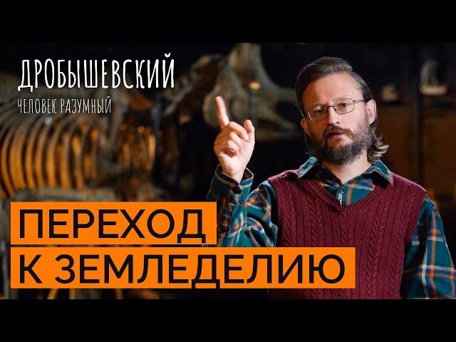 Как возникло сельское хозяйство и земледелие? // Дробышевский. Человек разумный