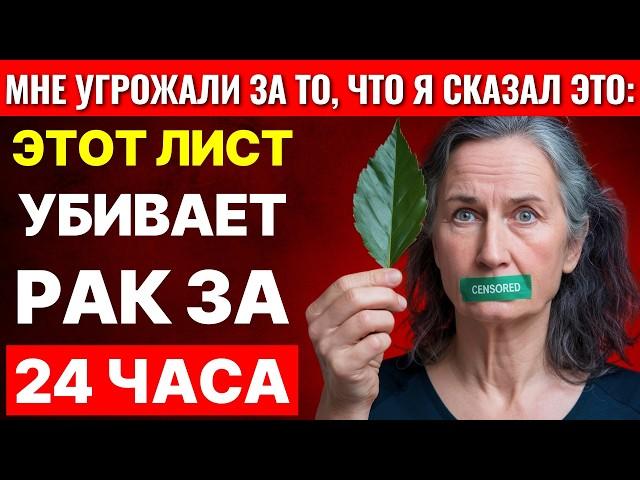 Лист, который УНИЧТОЖАЕТ РАК, и который врачи не хотят, чтобы вы знали – Фрэнк Суарес