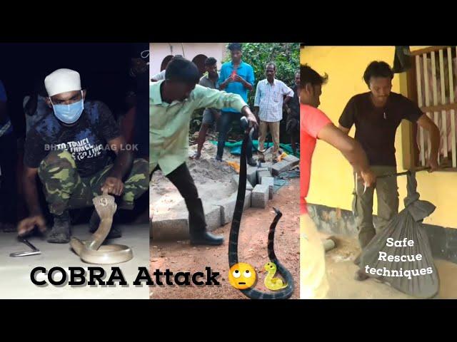 @mirzamdarif1 Cobra snake Bite 2022 | vava Suresh snake bite | Vava Suresh vs Ajay Giri