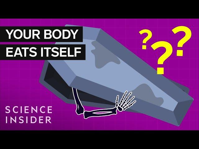 What Happens To Your Body 100 Years After Death