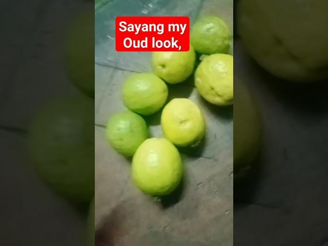 #satisfyingvedio #fruit #oddlysatisfyingvedio #gwava