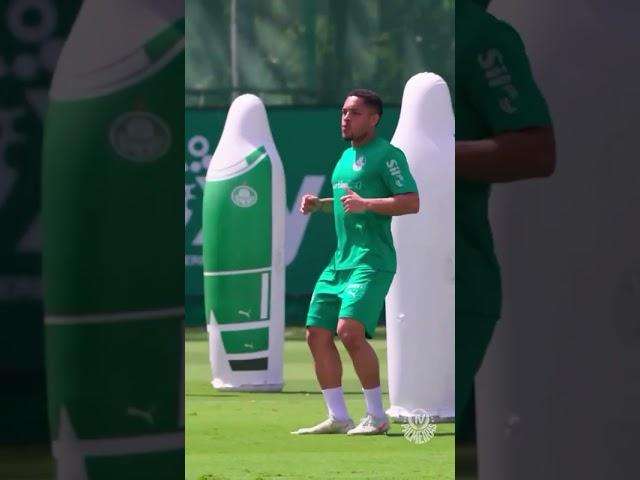 PALMEIRAS: A CAVADINHA DO VITOR ROQUE TÁ EM DIA!