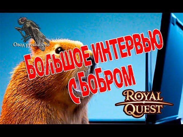 Royal Quest - большое интервью с Бобром