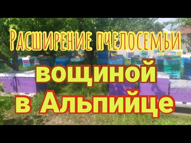 Как легко и быстро расширять вощиной Альпийский улей? Засев матки Карника.