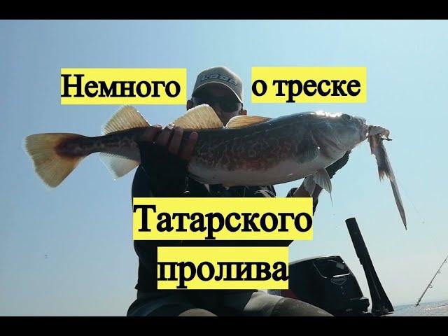 Немного от треске Татарского пролива / Pacific Cod & Walleye Pollack