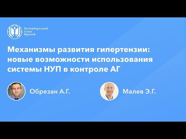 Механизмы гипертензии: новые возможности системы натрийуретических пептидов в контроле АГ