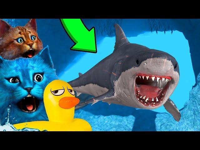 ТРОЛЛИНГ ГИГАНТСКОЙ АКУЛЫ МЕГАЛОДОН В РОБЛОКС SHARKBITE IN ROBLOX КОТЁНОК ЛАЙК И КОТИК ИГРОМАН