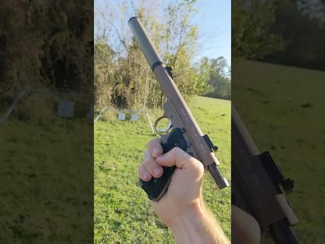Silenced Ruger 22
