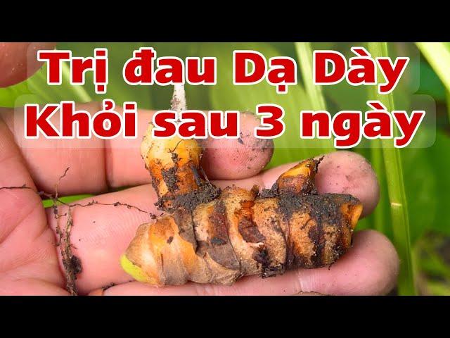 Trị khỏi đau Dạ Dày sau 3 ngày. PHAN HẢI Channel