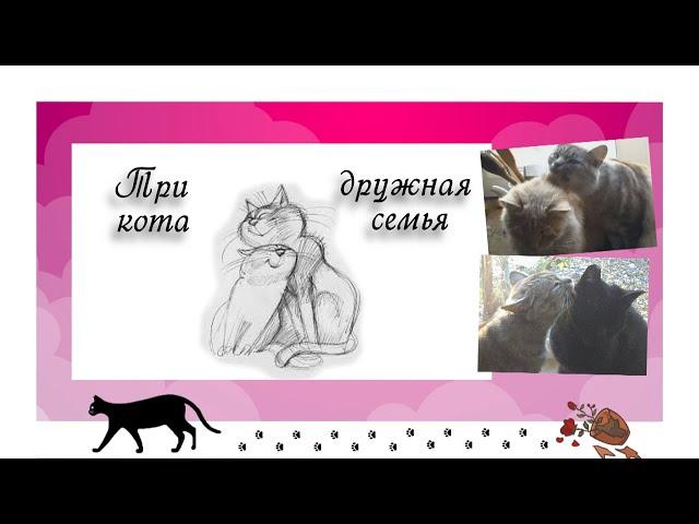 Три кота - дружная семья