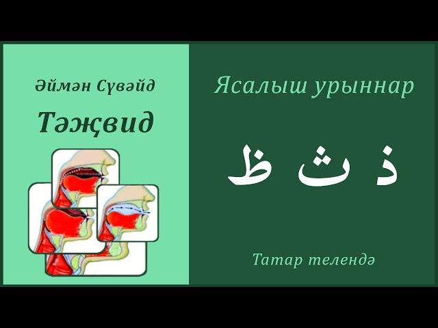 15. Ясалыш урыннары: ЗА, СӘ, ЗӘЛ | Әймән Сүвәйд (татарча субтитрлар)