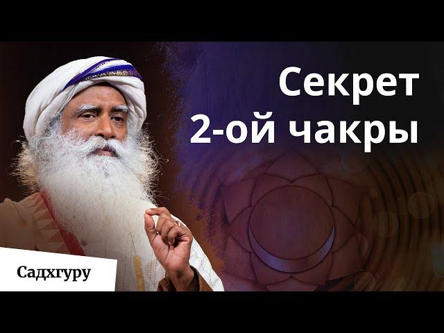 Что будет, если взять под контроль сексуальность?