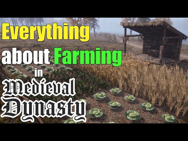 Basic Farming Tips in Medieval Dynasty