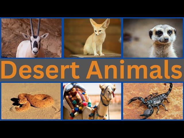 Desert Animals | Desert Animals Name