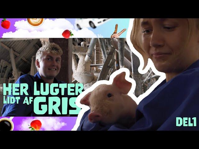 På den anden side - Her lugter lidt af gris - Episode 5, del 1 af 2