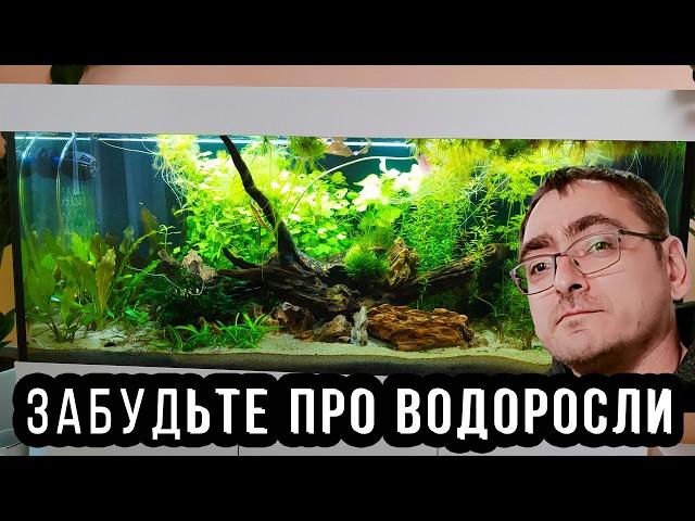 Ленивый аквариум на песке: забудьте про фильтр и водоросли в аквариуме! Аквариум без фильтра! 4К