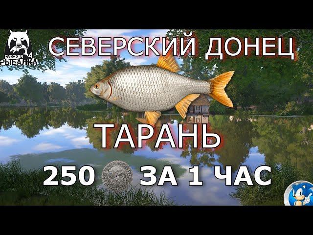 РЕКА СЕВЕРСКИЙ ДОНЕЦГДЕ ЛОВИТЬ ТАРАНЬ?Русская Рыбалка 4(РР4)