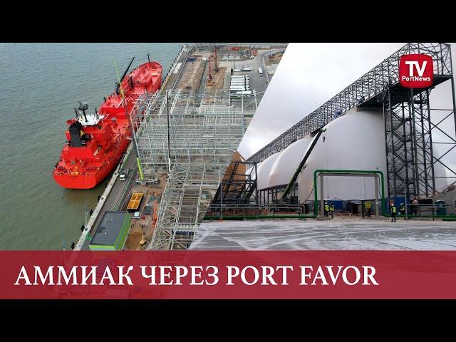 Аммиак через Port Favor: шаг в развитии экспортного потенциала России