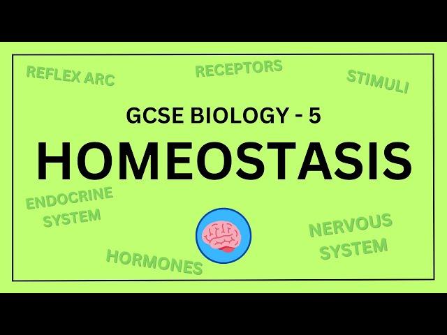 AQA GCSE Biology in 10 Minutes! | Topic 5 - Homeostasis and Response