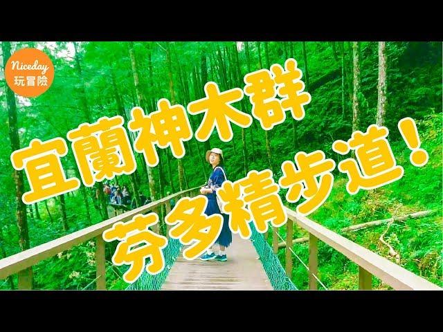 宜蘭棲蘭神木群一日遊，感受雲霧繚繞 | Niceday 玩冒險