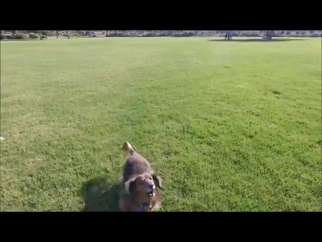 Hookah running after the quadcopter